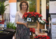 Op de stand van Croyse Loop waren de Fairtrade Poinsettia’s te zien van Maria Verschure. Maria stond voor het tweede jaar met de Fairtrade producten op de beurs.